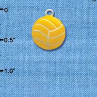 C2766 - Large Water Polo Ball - Silver Charm